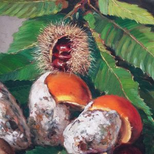 Olio su tavola di Amedeo Merello: funghi - Dettaglio